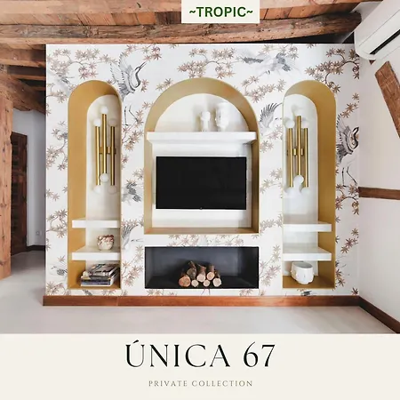 Tropic By Unica67, Diseno Junto A La Catedral * Tolède