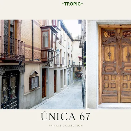 Tropic By Unica67, Diseno Junto A La Catedral *