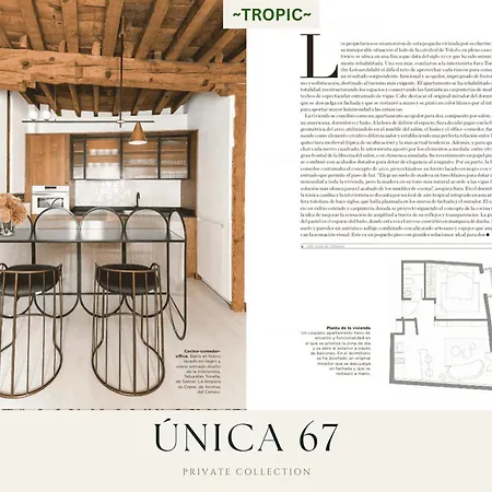 Tropic By Unica67, Diseno Junto A La Catedral Tolède